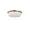 Nuvo Rowen 4-Light Flush Mount Natural Brass Etched White Glass 60/7751 - alternate 7